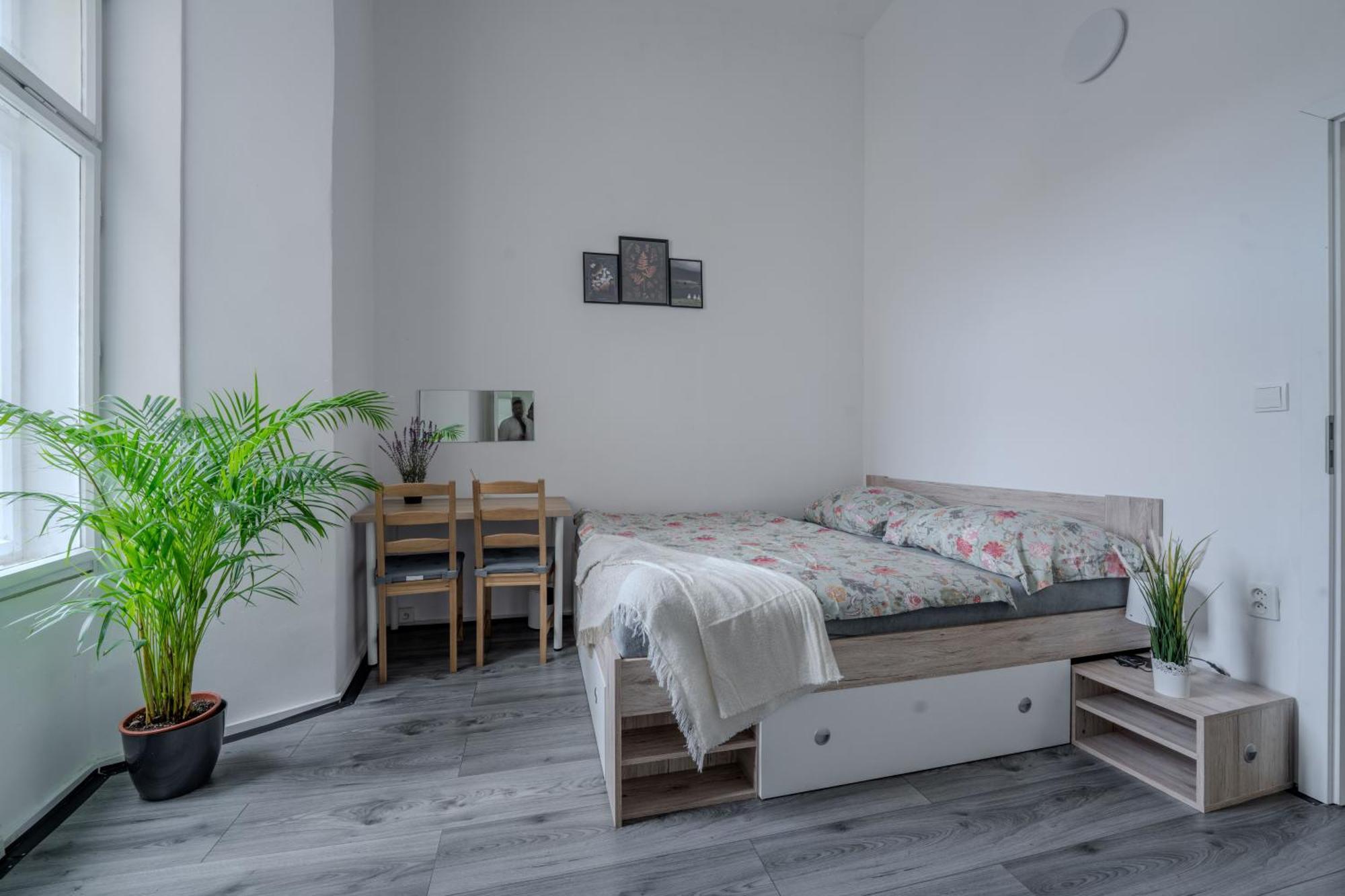 Stunning & Spacious 2bdr Apt In Center Prag